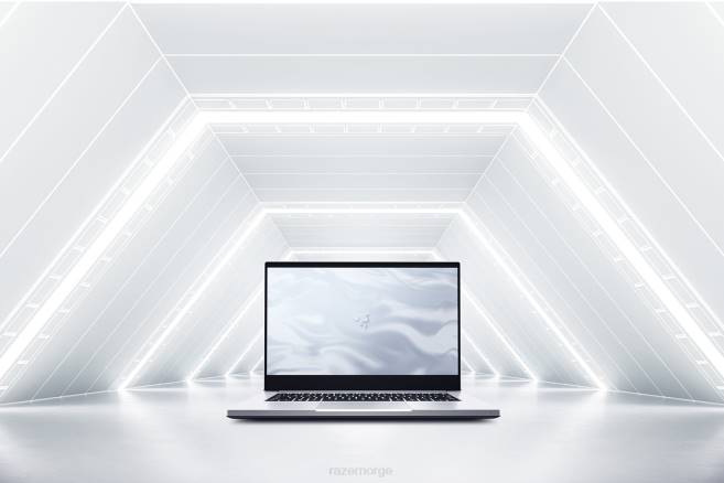 Razer tilpasse bladet 14 laptop én farge FL0B3