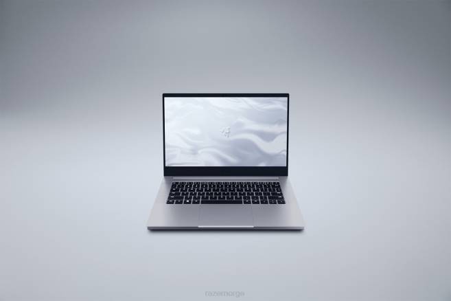 Razer tilpasse bladet 14 laptop én farge FL0B3